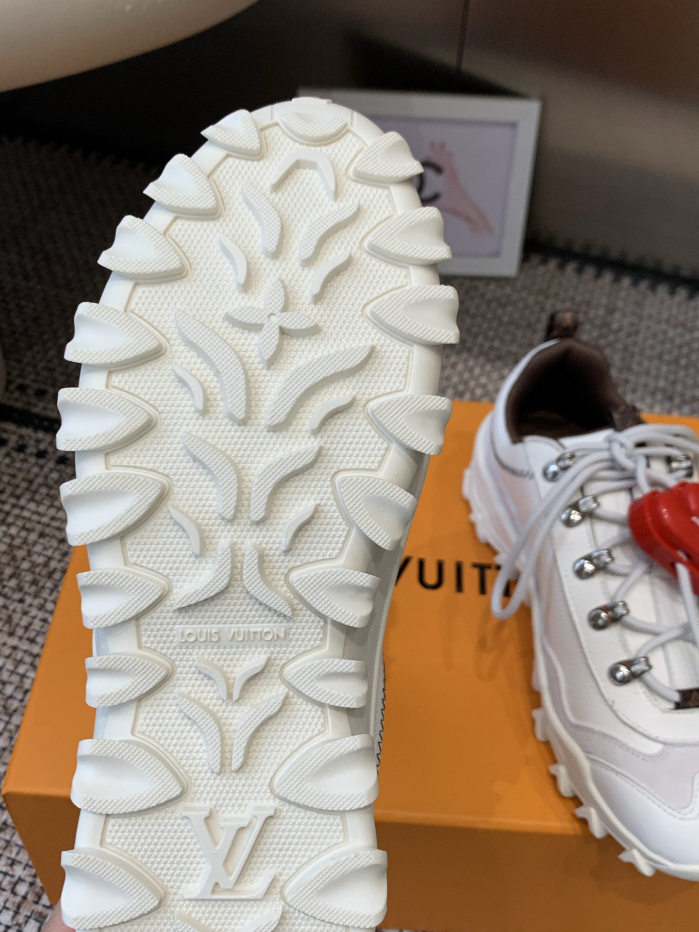 Louis Vuitton Sneakers