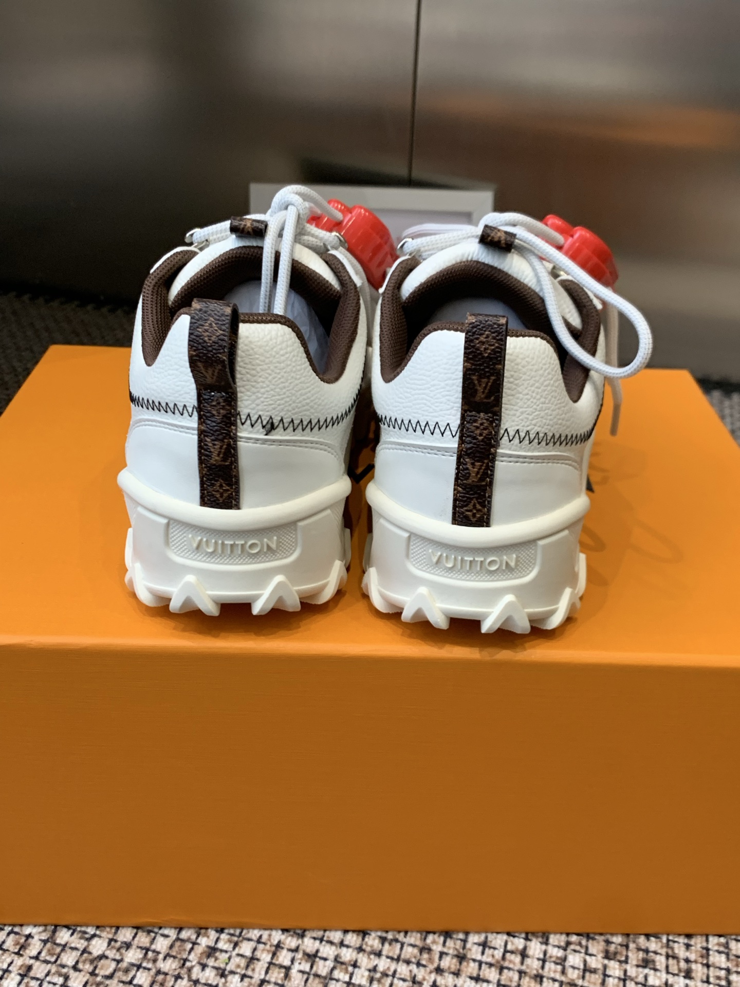 Louis Vuitton Sneakers