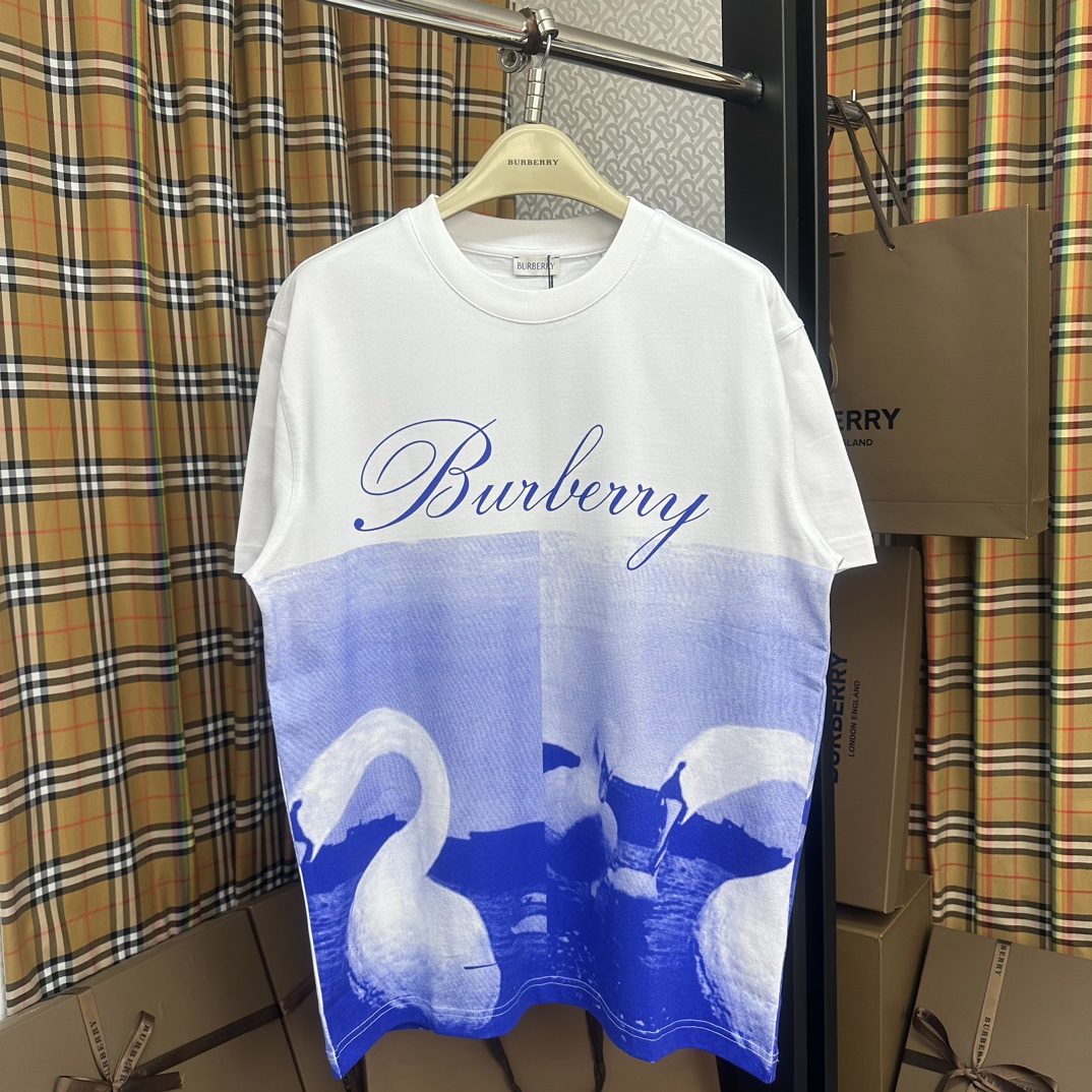Burberry Clothing Shirts & Blouses T-Shirt Printing Cotton Spring Collection Vintage Casual