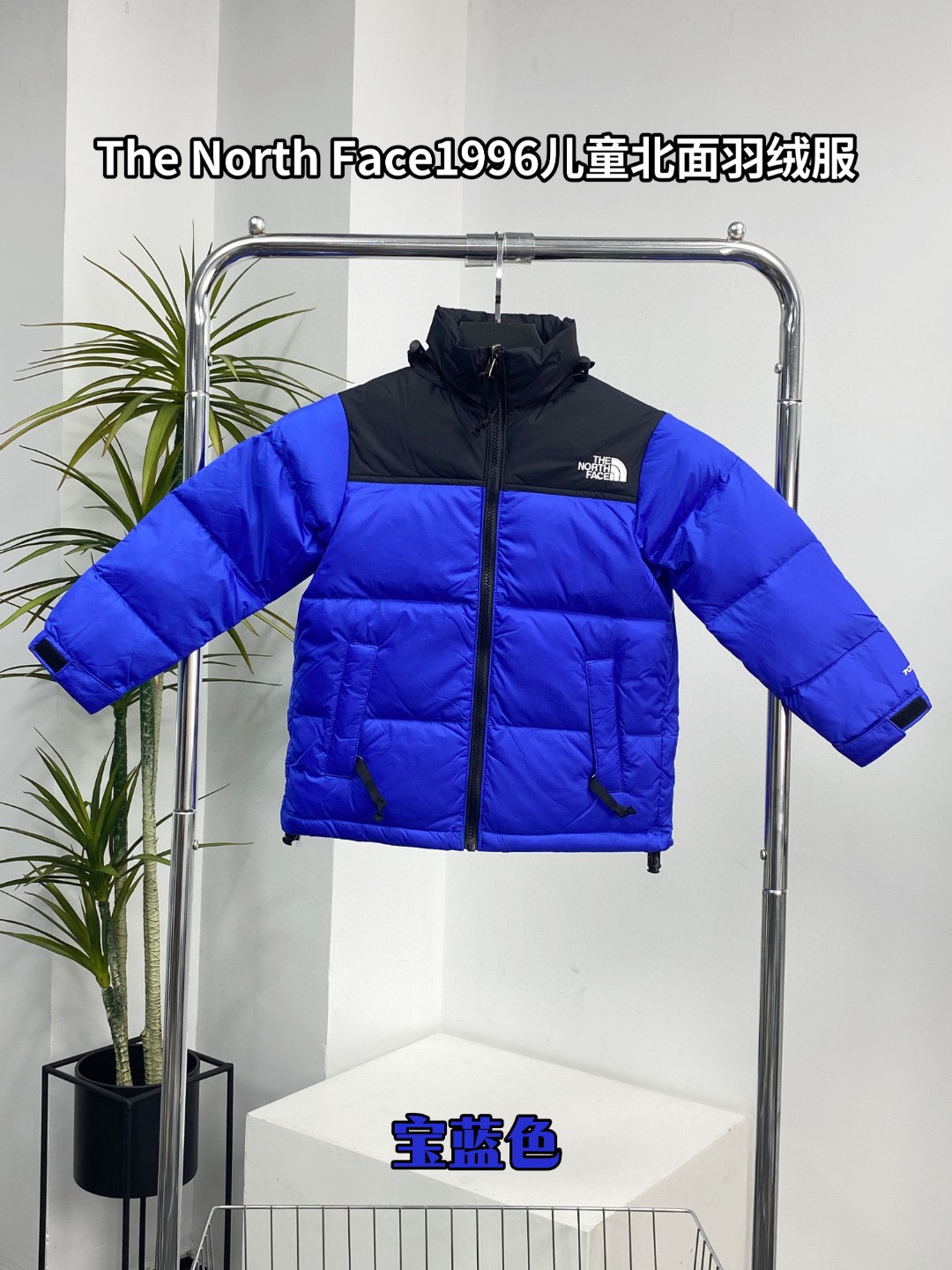 鹅绒版🔥 12