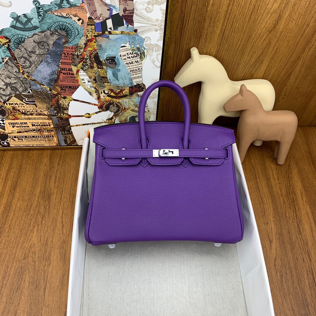 Hermes Birkin Bags Handbags Purple