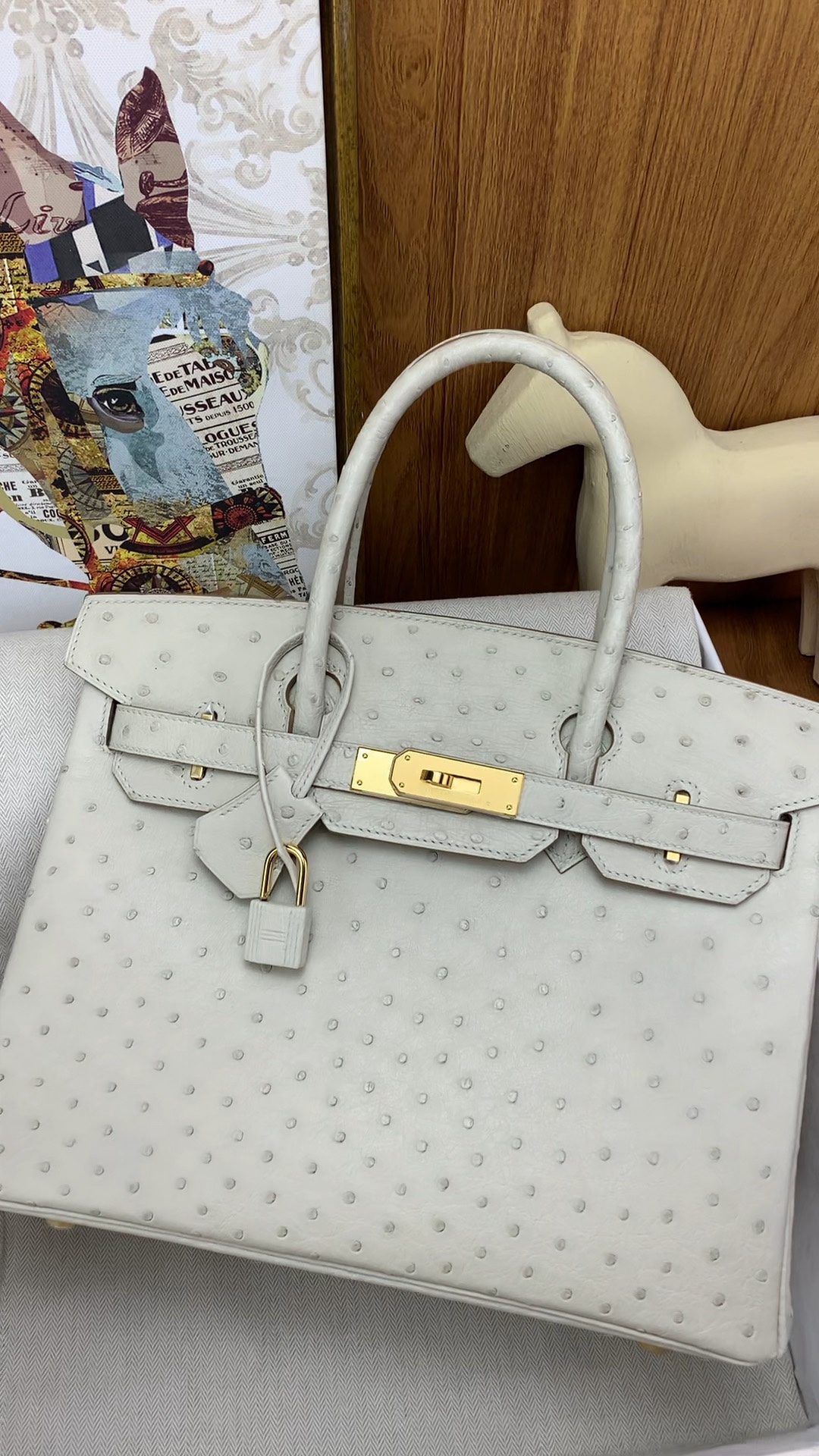 Hermès High grade ostrich leather