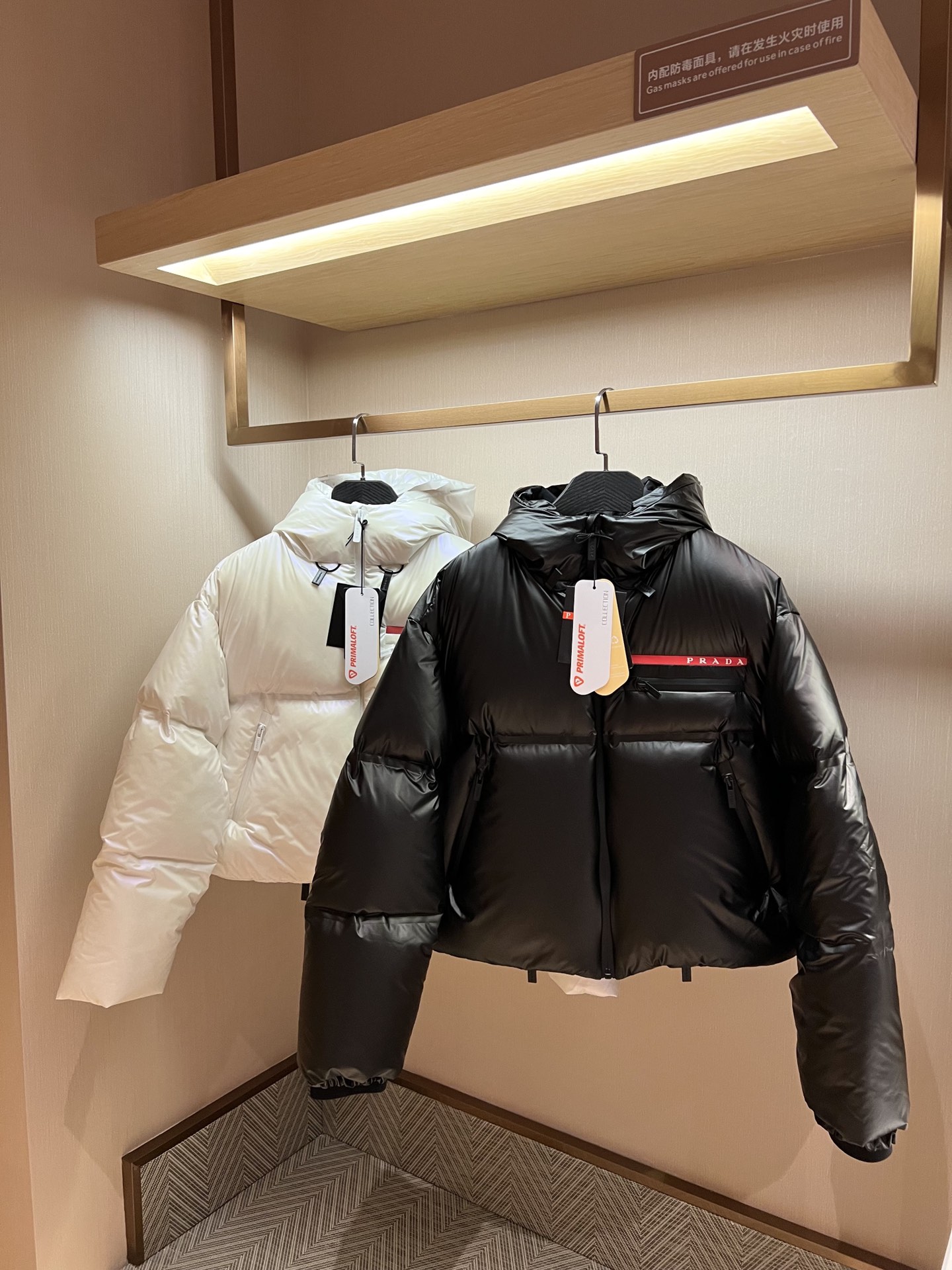 Prada short down jacket with hood, duck down, short style, two front pockets, sizes S to L.-Big cat