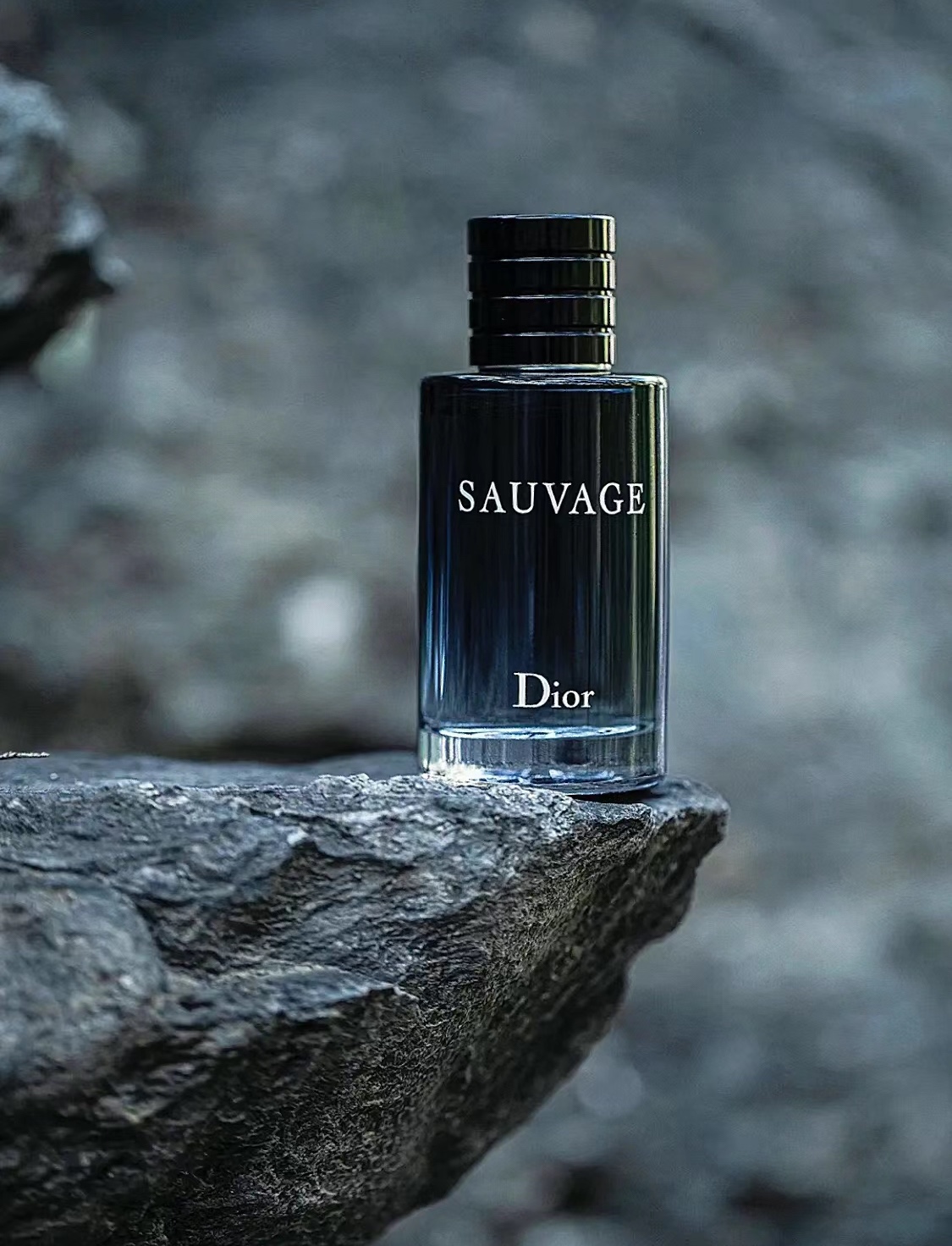 Dior Sauvage Fragrance - Comprehensive