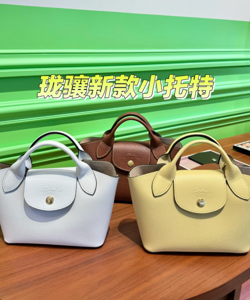 Longchamp Le Pliage Mini Leather Top Handle Bag, Trendy and Chic 1 Longchamp Le Pliage Mini Leather Top Handle Bag, Trendy and Chic