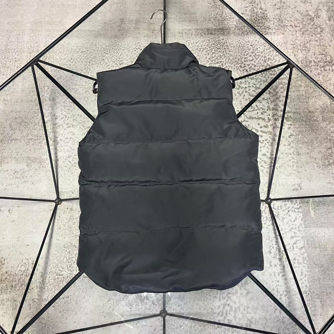 𝑪𝒂𝒏𝒂𝒅𝒂 𝑮𝒐𝒐𝒔𝒆加拿大鹅  平铺图