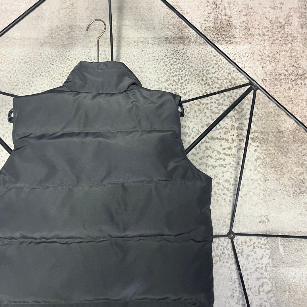 𝑪𝒂𝒏𝒂𝒅𝒂 𝑮𝒐𝒐𝒔𝒆加拿大鹅  平铺图