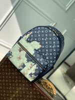 Louis Vuitton LV Discovery Shop
 Bags Backpack Rose Cowhide M46553