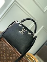 Louis Vuitton LV Capucines Store
 Bags Handbags Black Taurillon Mini M23263