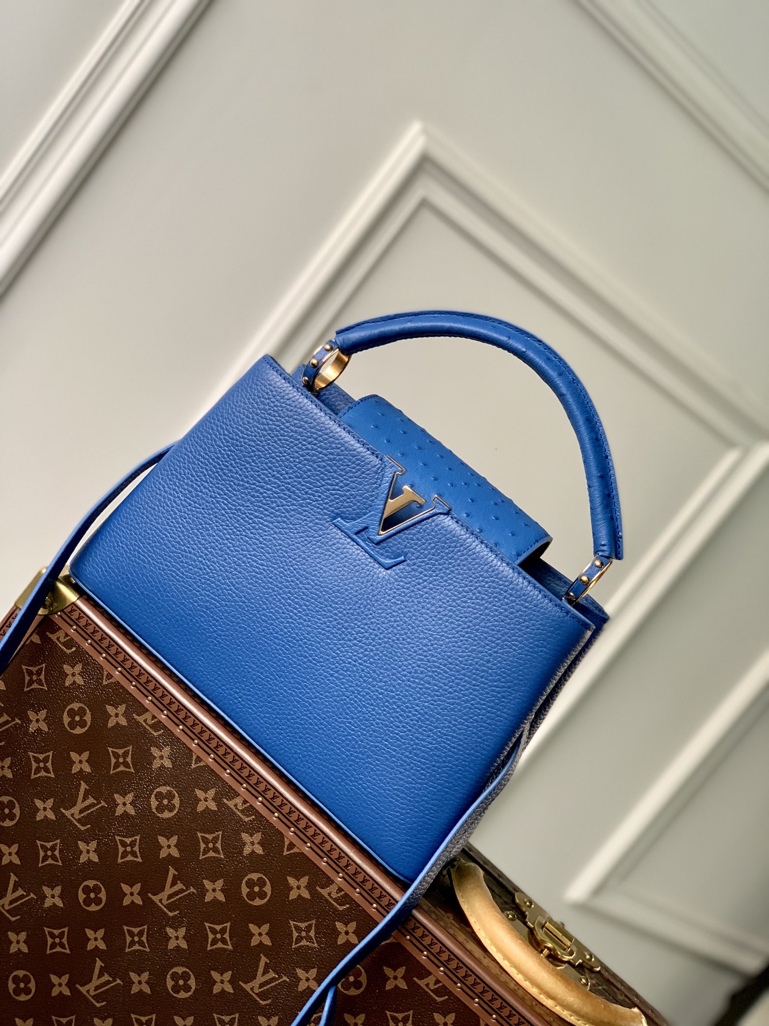 Louis Vuitton LV Capucines Bags Handbags Blue Taurillon Ostrich Leather M81409