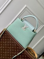 Louis Vuitton LV Capucines Bags Handbags Taurillon Cowhide Ostrich Leather N84073