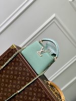 Louis Vuitton LV Capucines Bags Handbags Taurillon Cowhide Ostrich Leather Mini N84073
