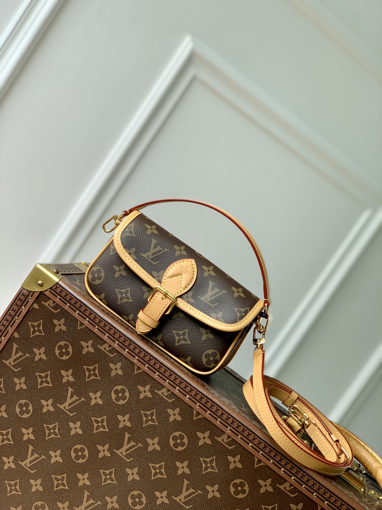 Louis Vuitton LV Diane Monogram Canvas Vintage M83566