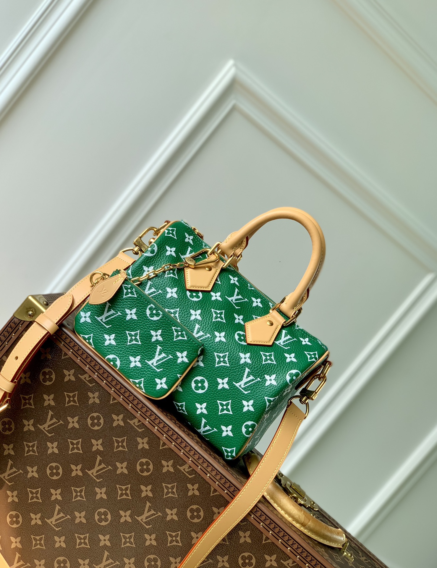 Louis Vuitton LV Speedy Tassen handtassen Groen Afdrukken Canvas Koeienhuid Schapenvacht M24423