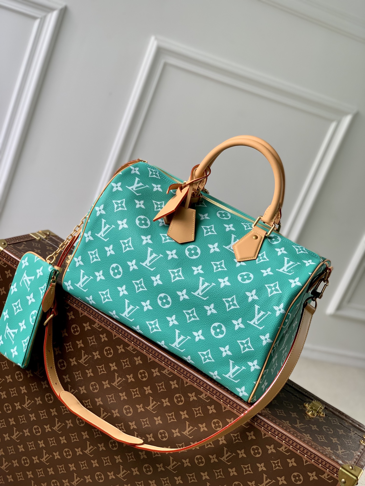 Louis Vuitton LV Speedy Tassen handtassen Groen Afdrukken Canvas Koeienhuid Schapenvacht M24417