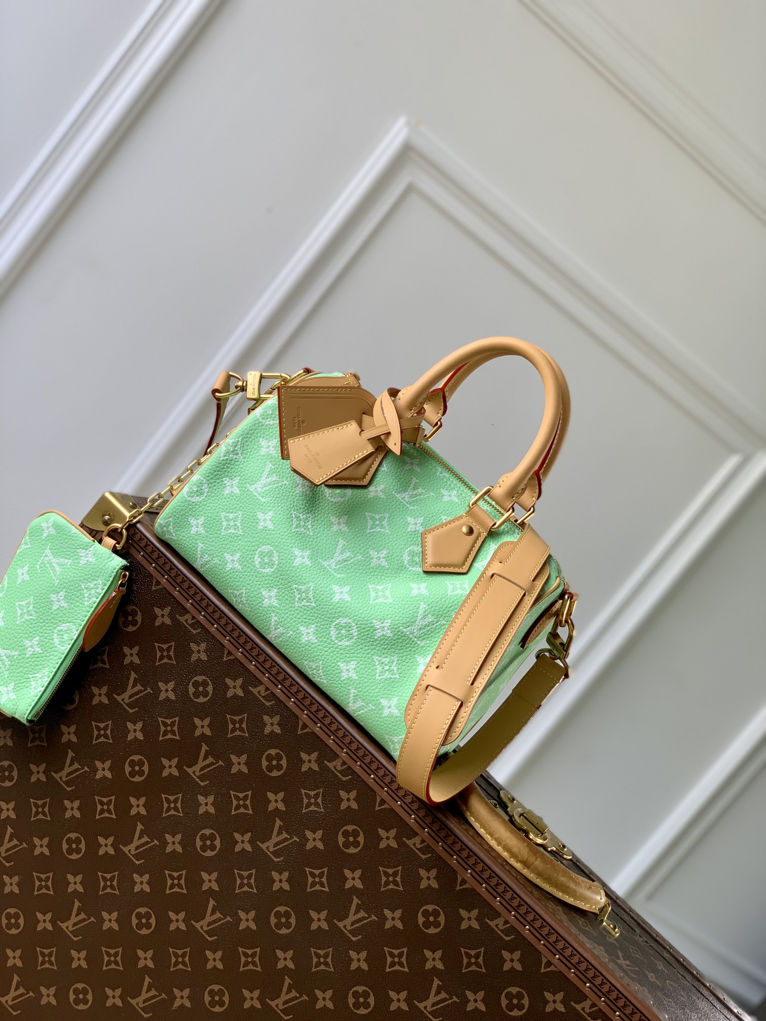 Louis Vuitton LV Speedy Tassen handtassen Groen Afdrukken Canvas Koeienhuid Schapenvacht M24423