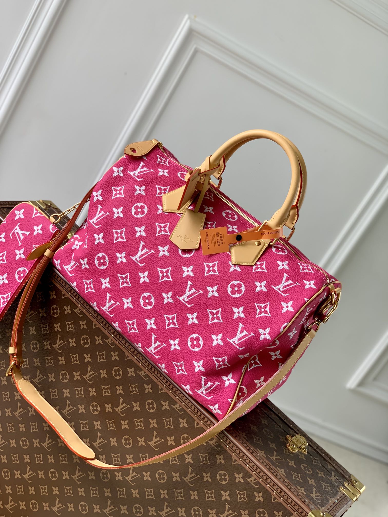 Louis Vuitton LV Speedy Mode
 Tassen handtassen Paars Koeienhuid Herfst/winter collectie M11563