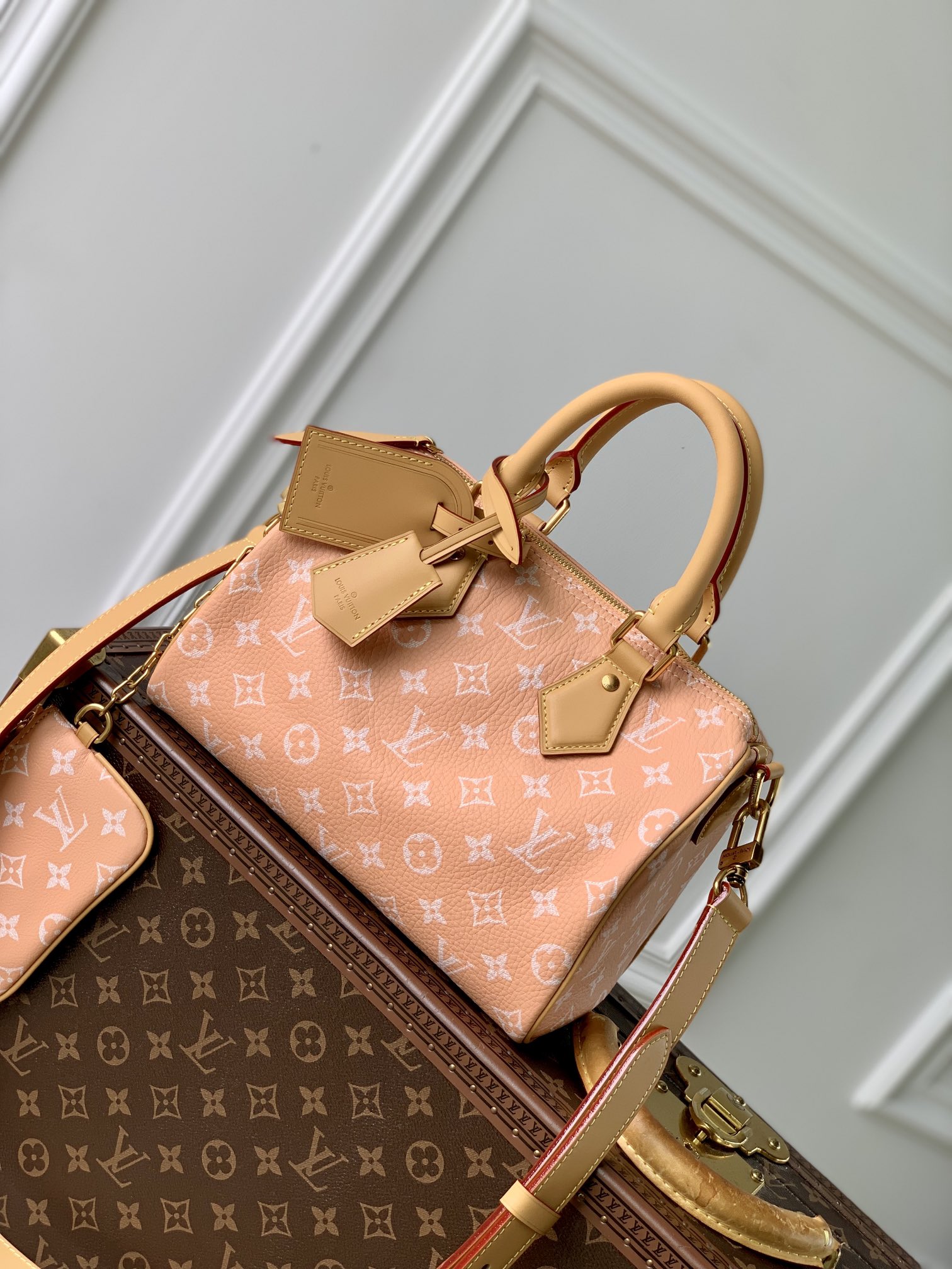 Louis Vuitton LV Speedy Bags Handbags Printing Canvas Cowhide Sheepskin M24424