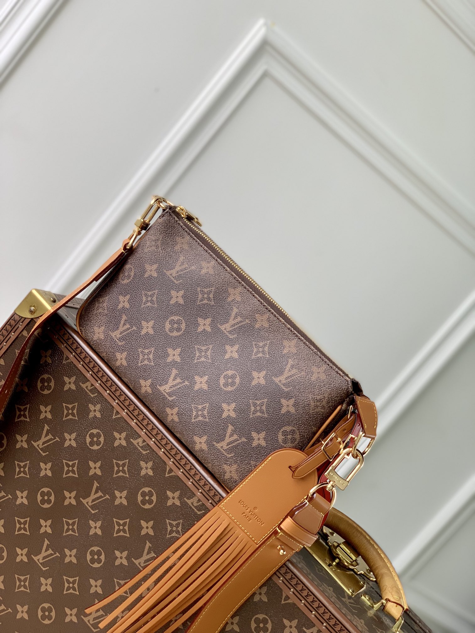 Louis Vuitton Sacs À Main Toile Pochette M11623