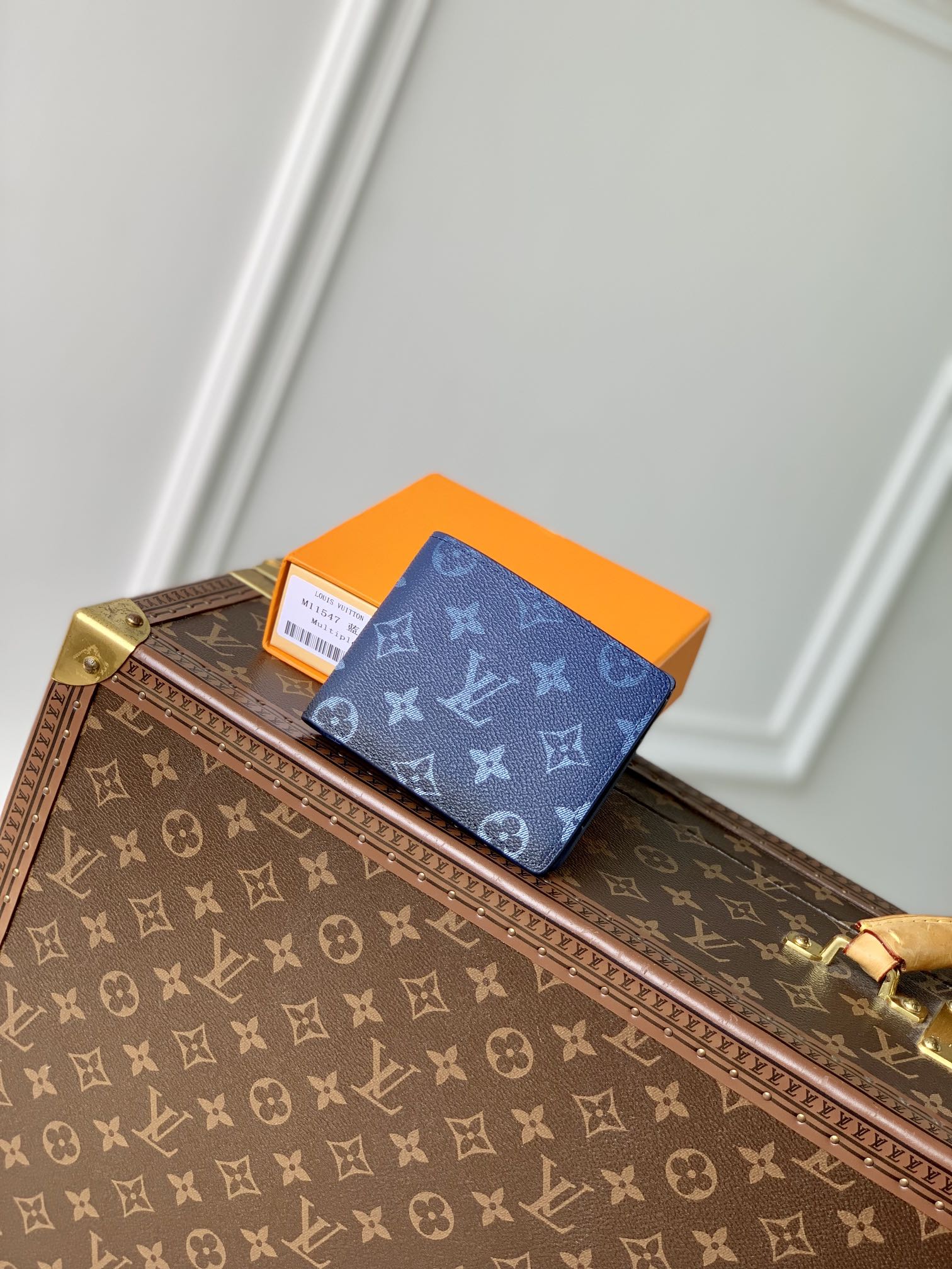 Wallet Blue Printing Spring/Summer Collection M11547