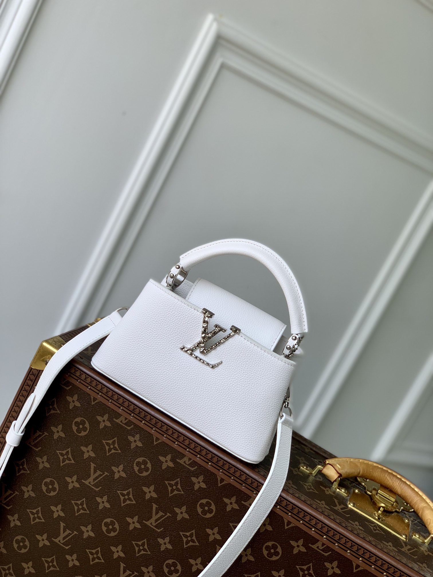 Louis Vuitton LV Capucines Bags Handbags White Cowhide Mini M24666