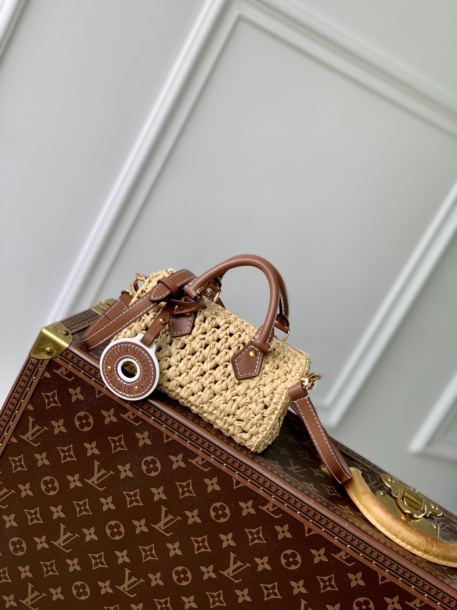 Louis Vuitton LV Speedy Bags Handbags Raffia M83525