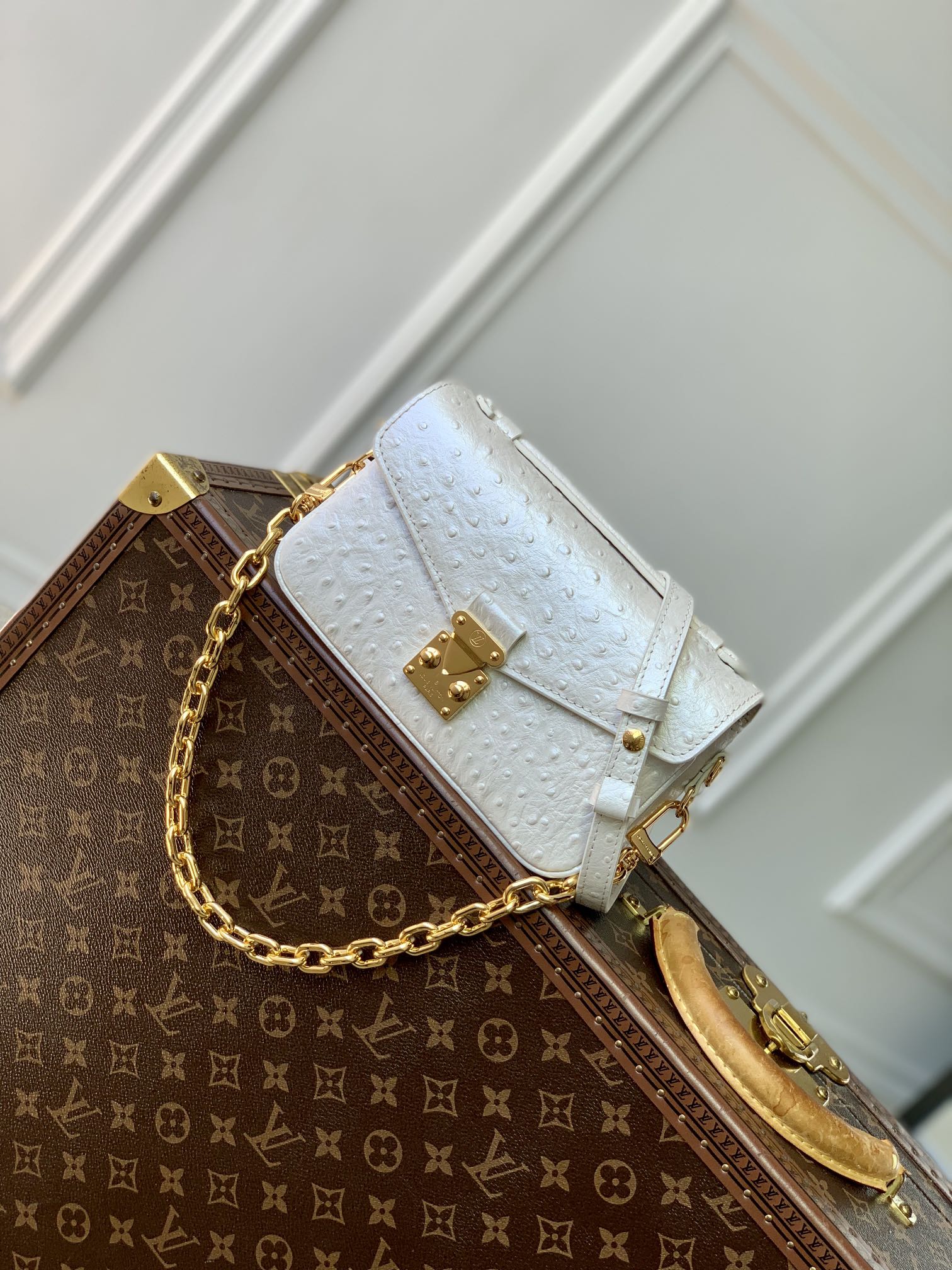 Waar nep kopen
 Louis Vuitton LV Pochette MeTis Tassen handtassen Wit Kettingen N85902