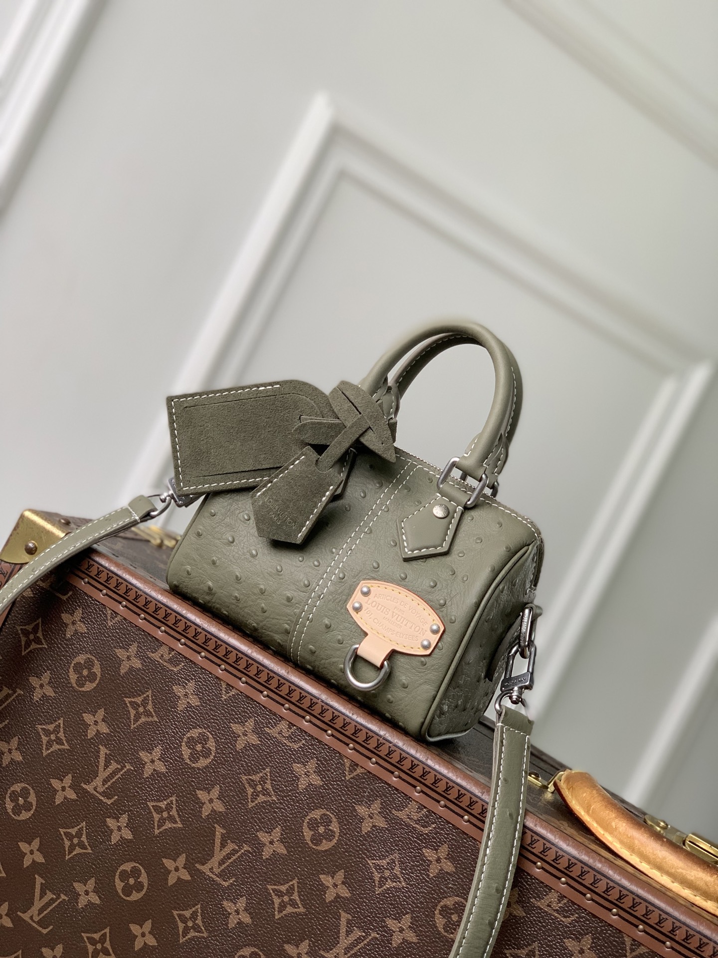 NO:766998,Top original item N89151 ostrich pattern. This Seedy Bandoulière 18 Lt handbag combines cow leather body and leather trim, which combines trendy style and functional considerations. The lobster pattern embossed on the handle fastener symbolizes longevity and prosperity in Japanese culture, and together with the removable leather storage bag, continues the iconic element of the Seedy series. 18 x 12 x 10 cm (length x height x width)  6617075,,cowhide19860909顶级原单N89151鸵鸟纹.本款 Seedy Bandoulière 18 Lt手袋结合牛皮革包身和皮革饰边,兼具潮流格调与功能考量.手柄固定件的龙虾图案压纹在日本 文化中象征长寿与繁荣,与可拆卸皮革收纳内袋一道延续Seedy 系列的标志性元素. 18 x 12 x 10 厘米 (长度 x 高 x 宽) 6617075,,cowhide,Bag