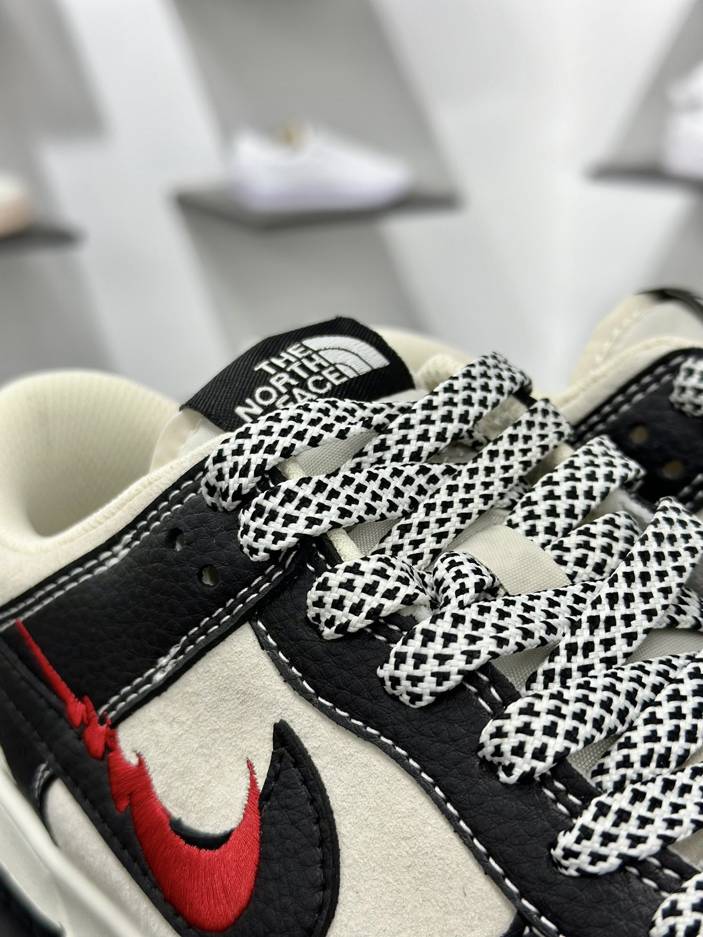 Nike SB Dunk Low 北面联名 DJ2024-128