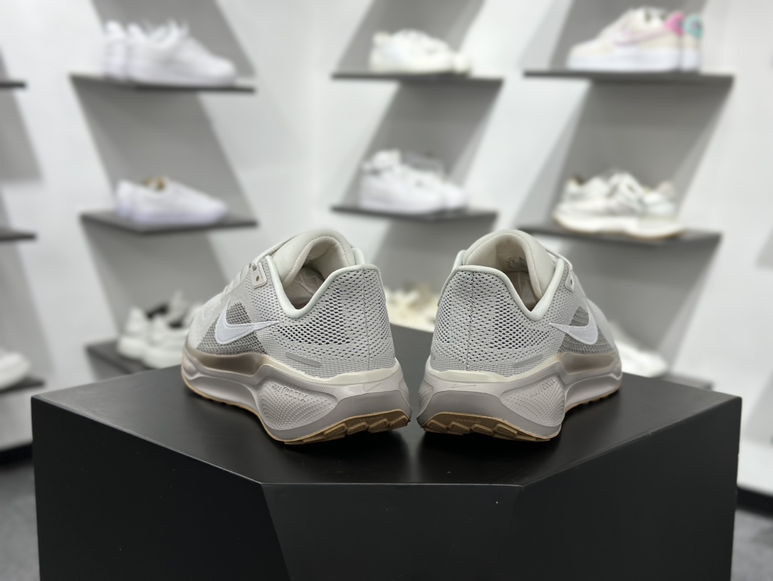 200 Air Zoom Pegasus 41飞马   FD2723-008