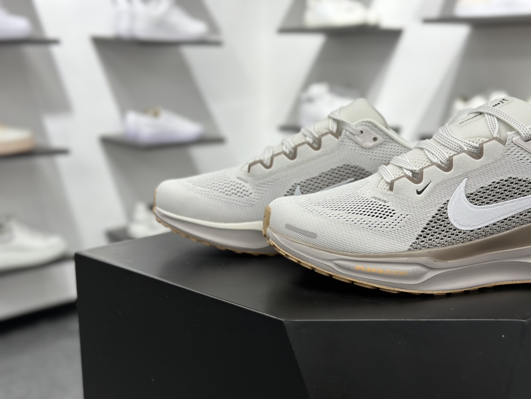 200 Air Zoom Pegasus 41飞马   FD2723-008