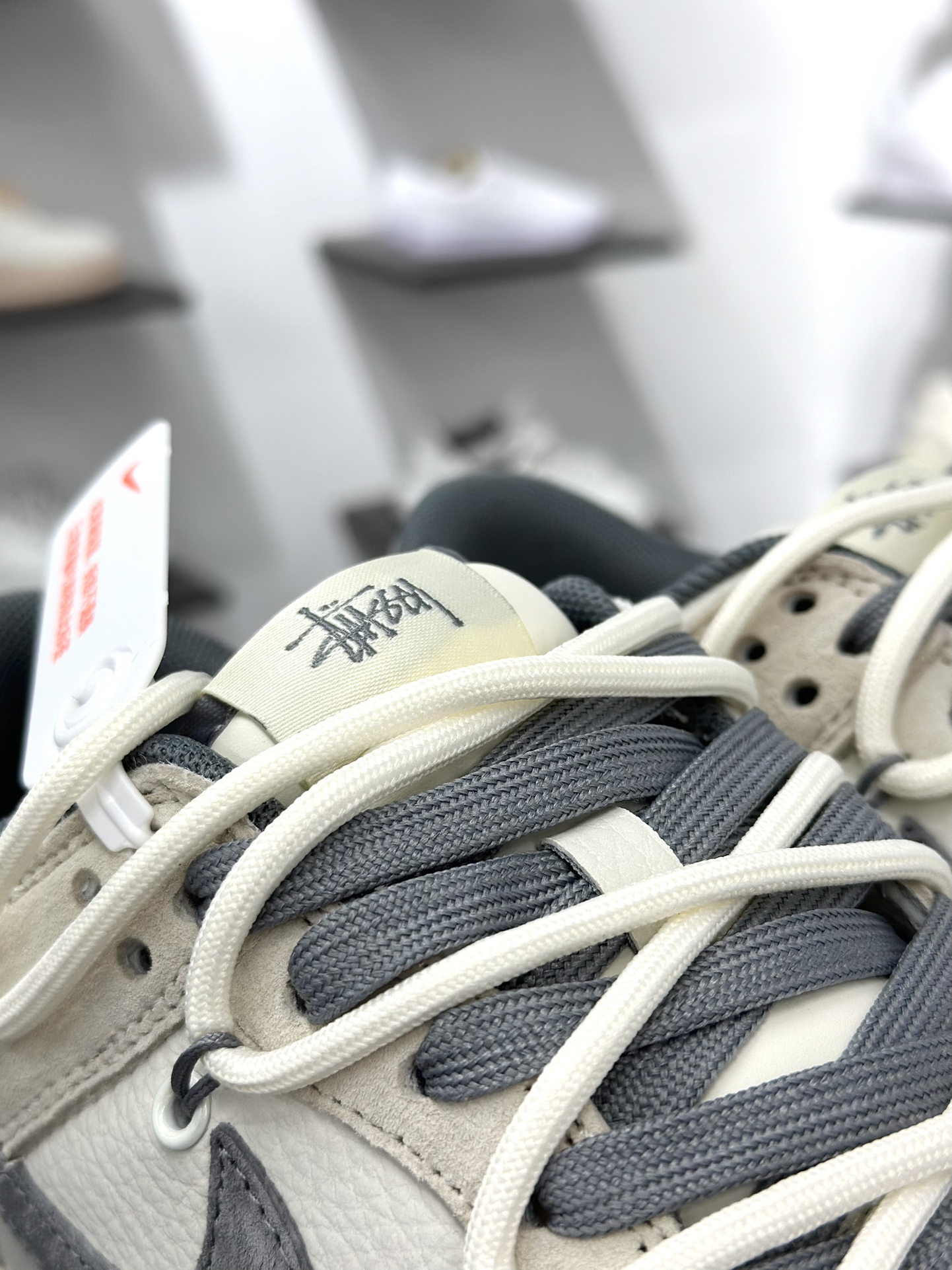 300 NK Dunk Low 定制配色 DM6868-093