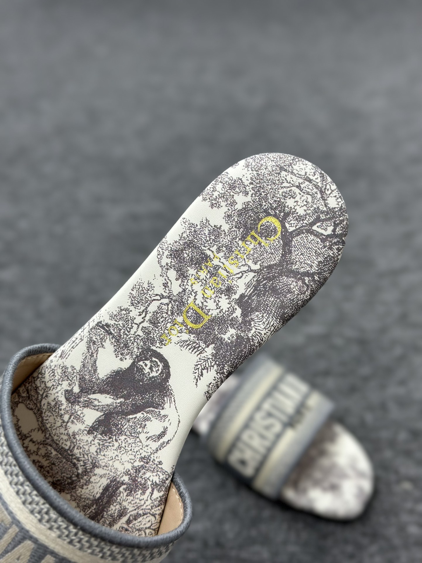 180 Dior迪奥 Dway Slide系列女士平底复古字母刺绣拼色露趾凉拖鞋 KCQ209TJE_S21G