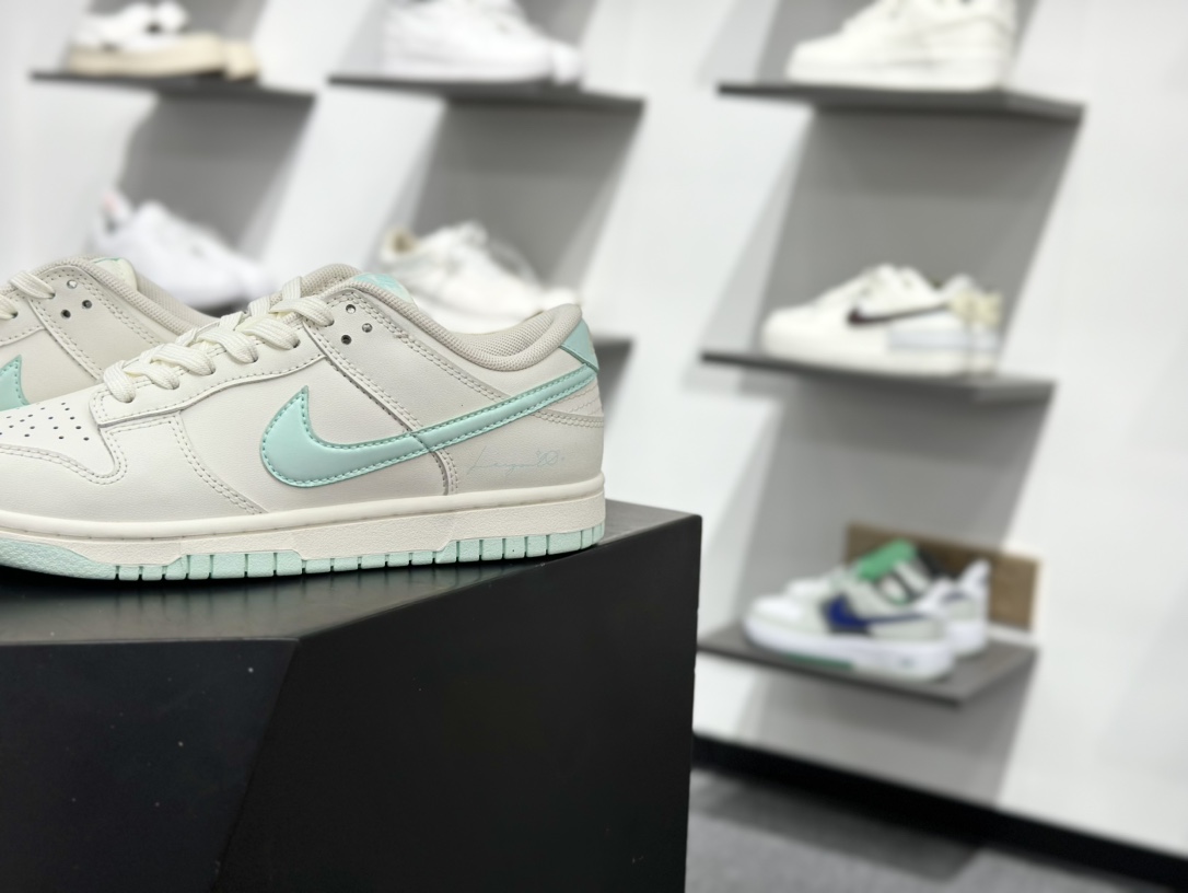 260 NIKE SB Dunk Low DV0831-109
