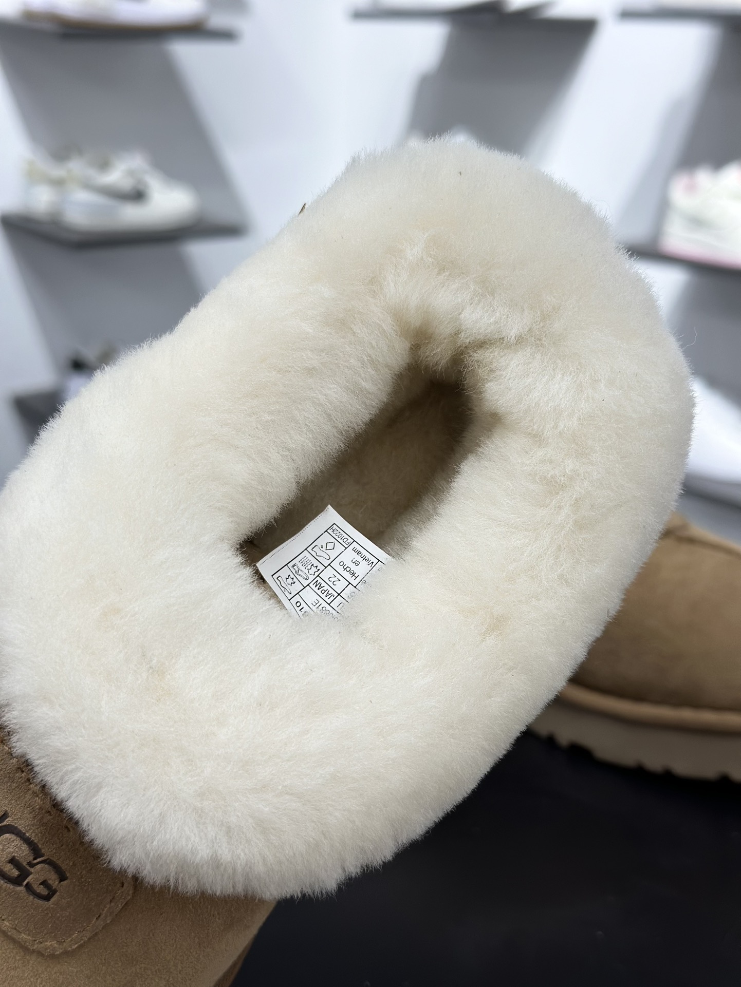 220 塔次特薄栗色 UGG W Tazzla 塔次特系列低帮时尚百搭舒适保暖休闲便鞋 1134810-CHE