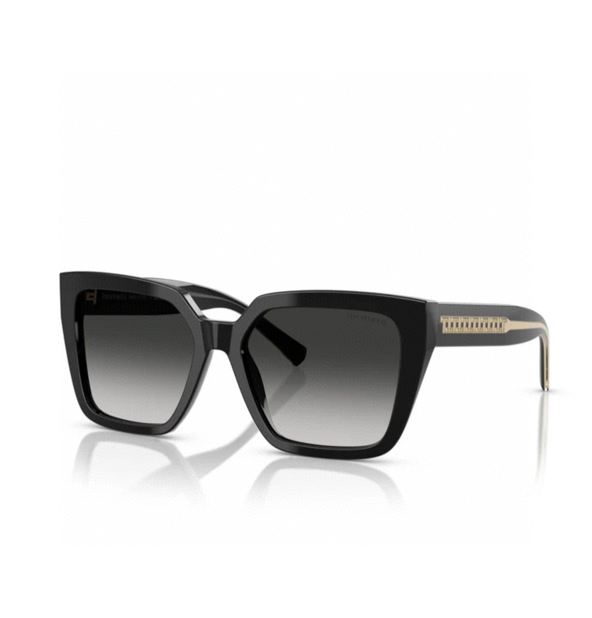 티파니 선글라스 74161 Tiffany & Co Sunglasses