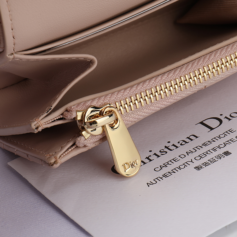 Dior S3102UNJB M900 TU Pink everyday