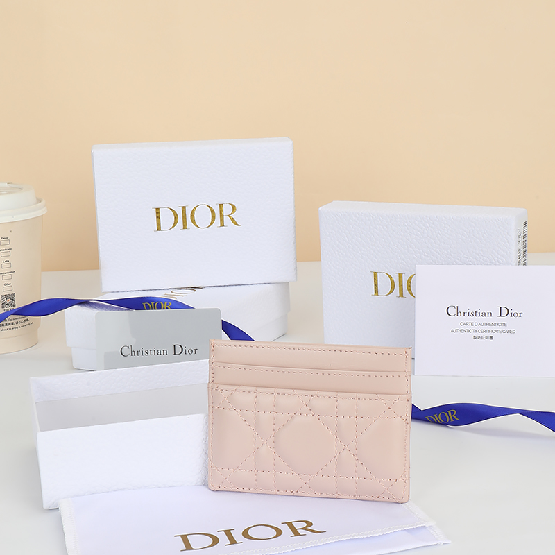 Dior Lady Beige everyday