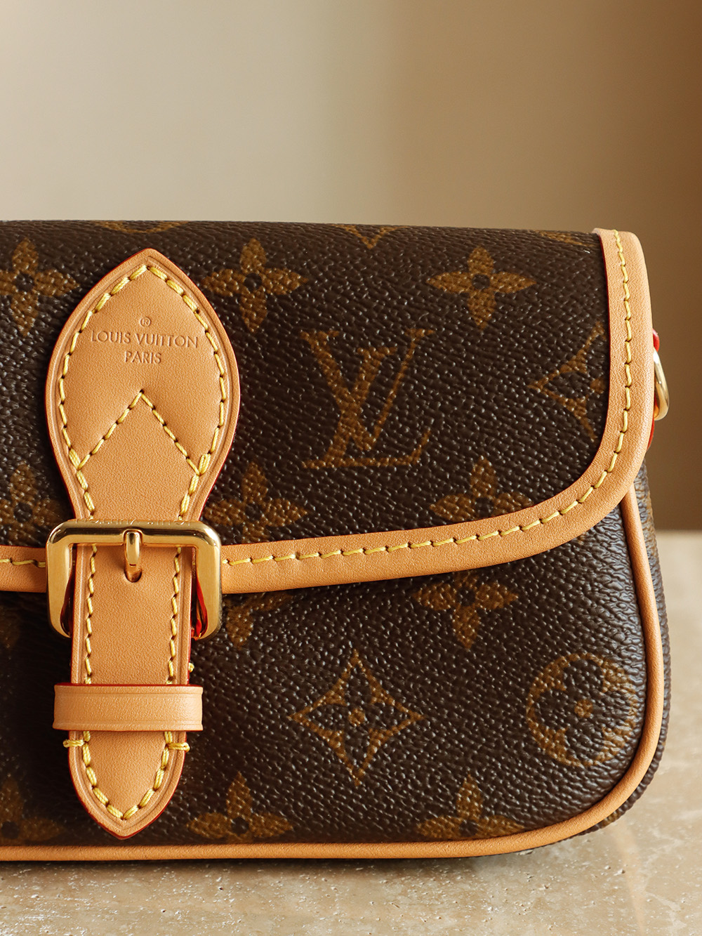 Louis Vuitton Nano Diane Baguette Bag in Monogram Canvas