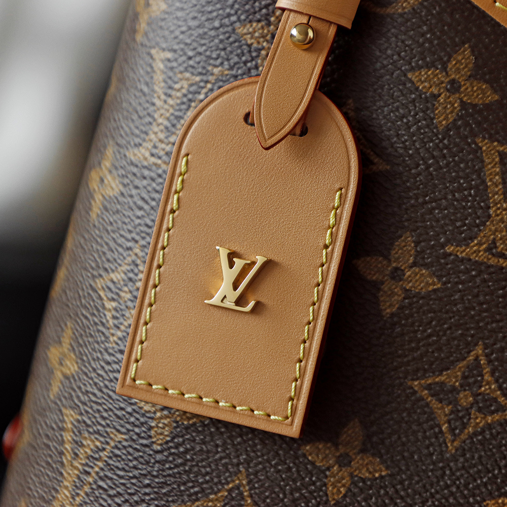 Louis Vuitton Carryall Medium Tote Bag M46197