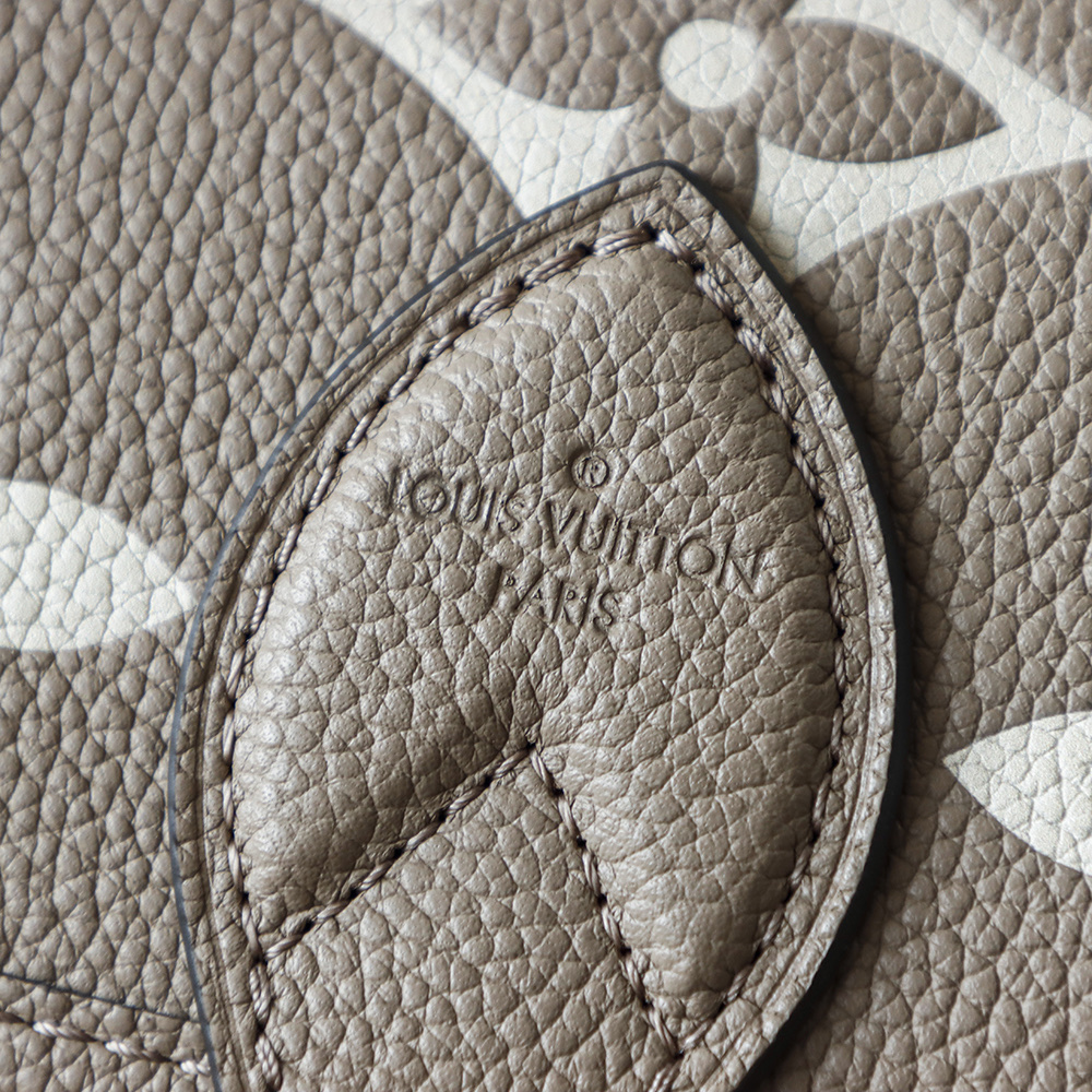 Louis Vuitton Diane Baguette Handbag M46583