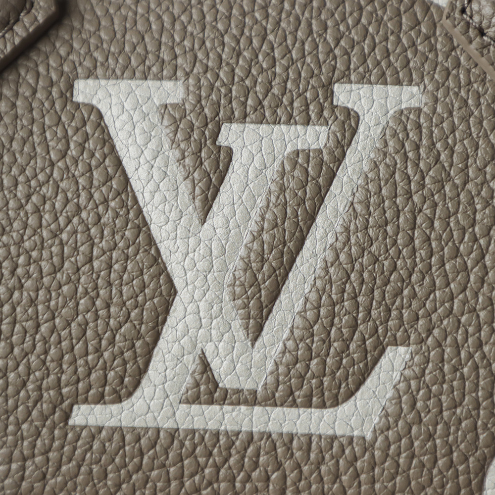 Louis Vuitton Speedy 20 Handbag M46575