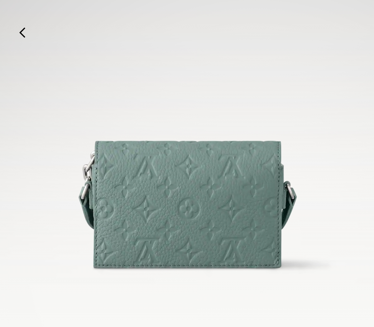 STEAMER  手袋lv,包 4