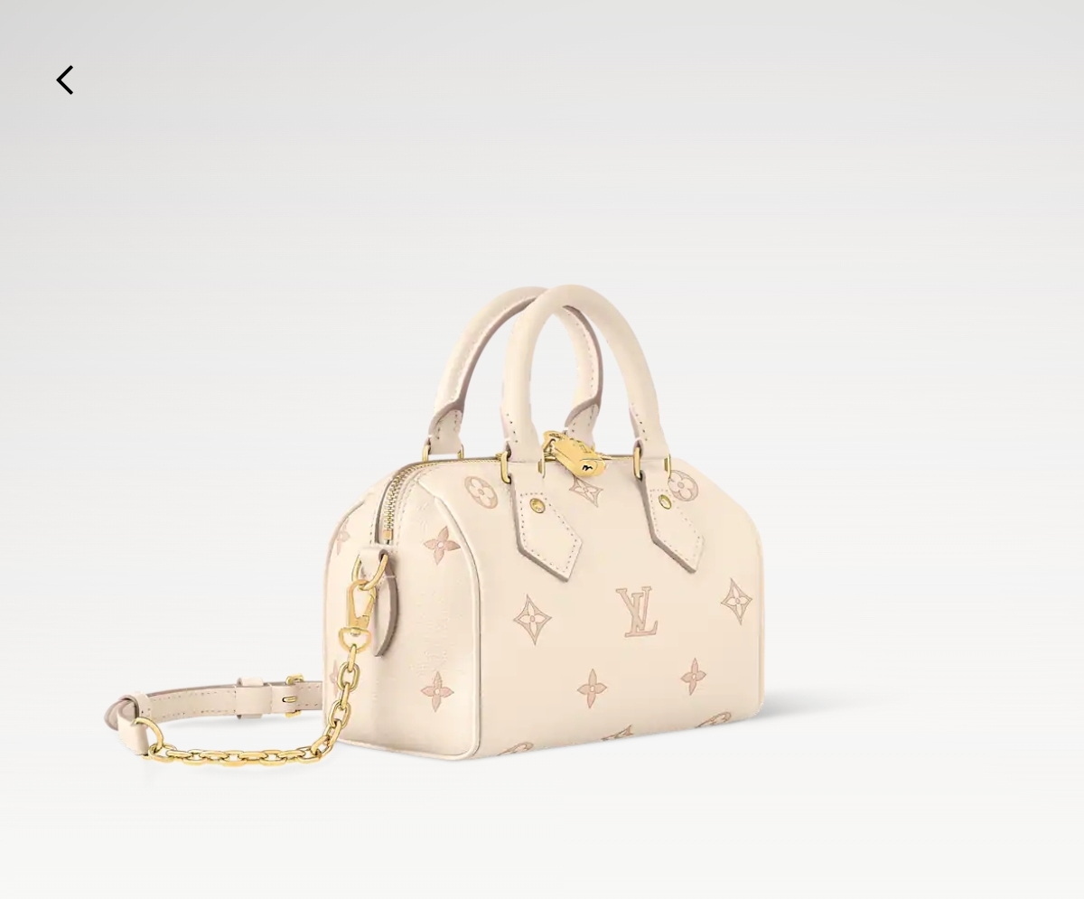 Louis Vuitton Speedy 手袋lv,包 3