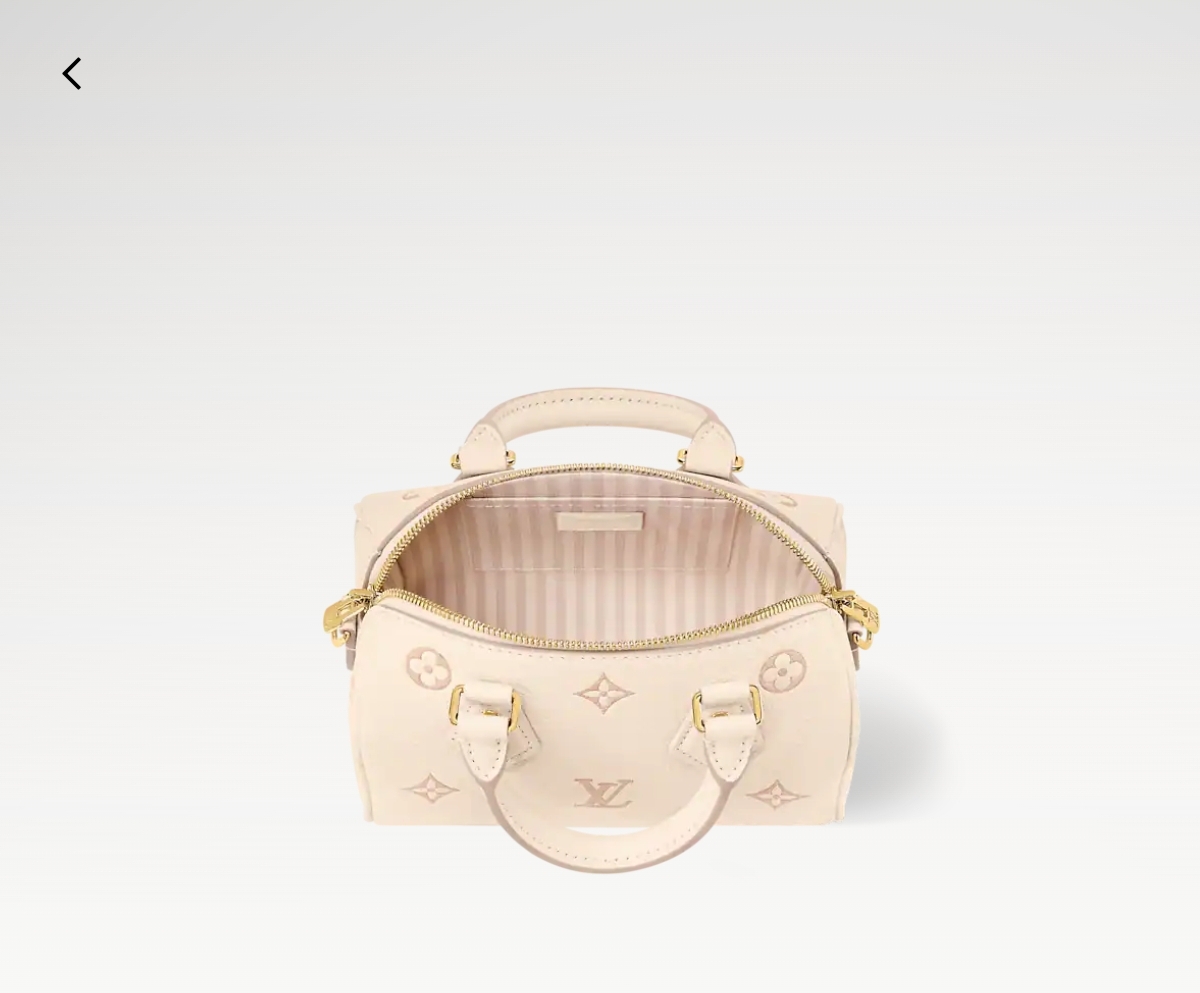 Louis Vuitton Speedy 手袋lv,包 4