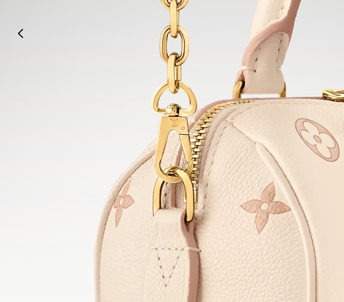 Louis Vuitton Speedy 手袋lv,包 2