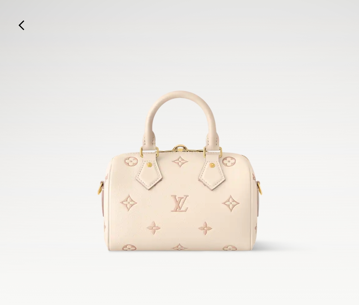 Louis Vuitton Speedy 手袋lv,包 5