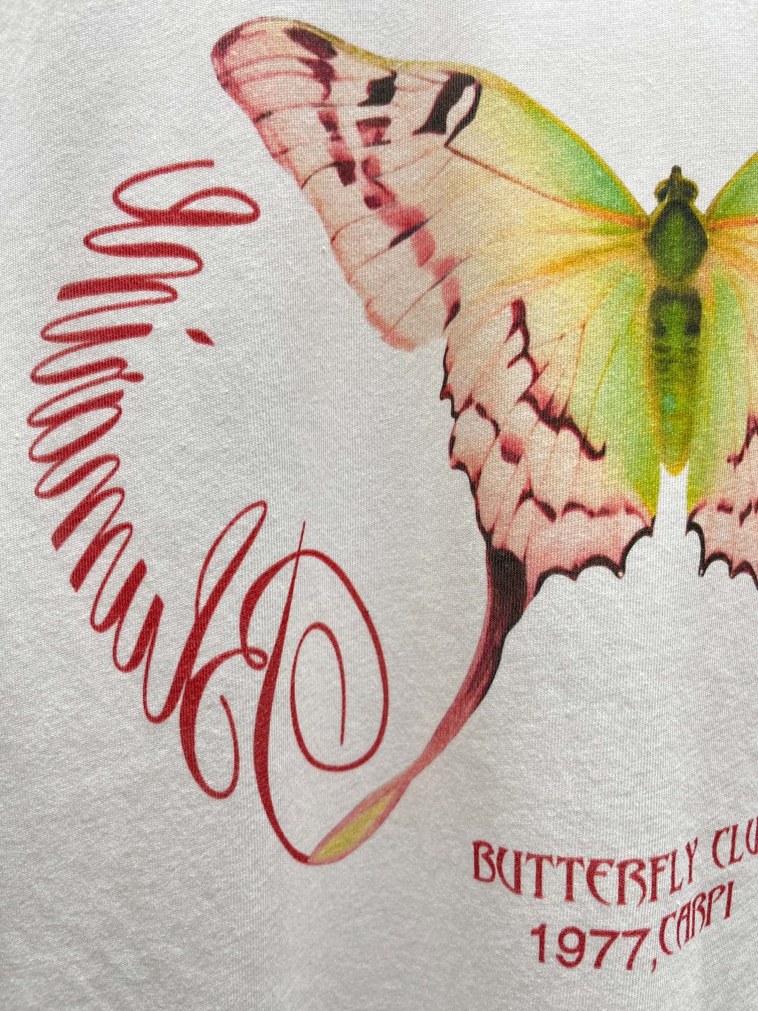 ❤️蝴蝶印花宽松T恤！棉 SML