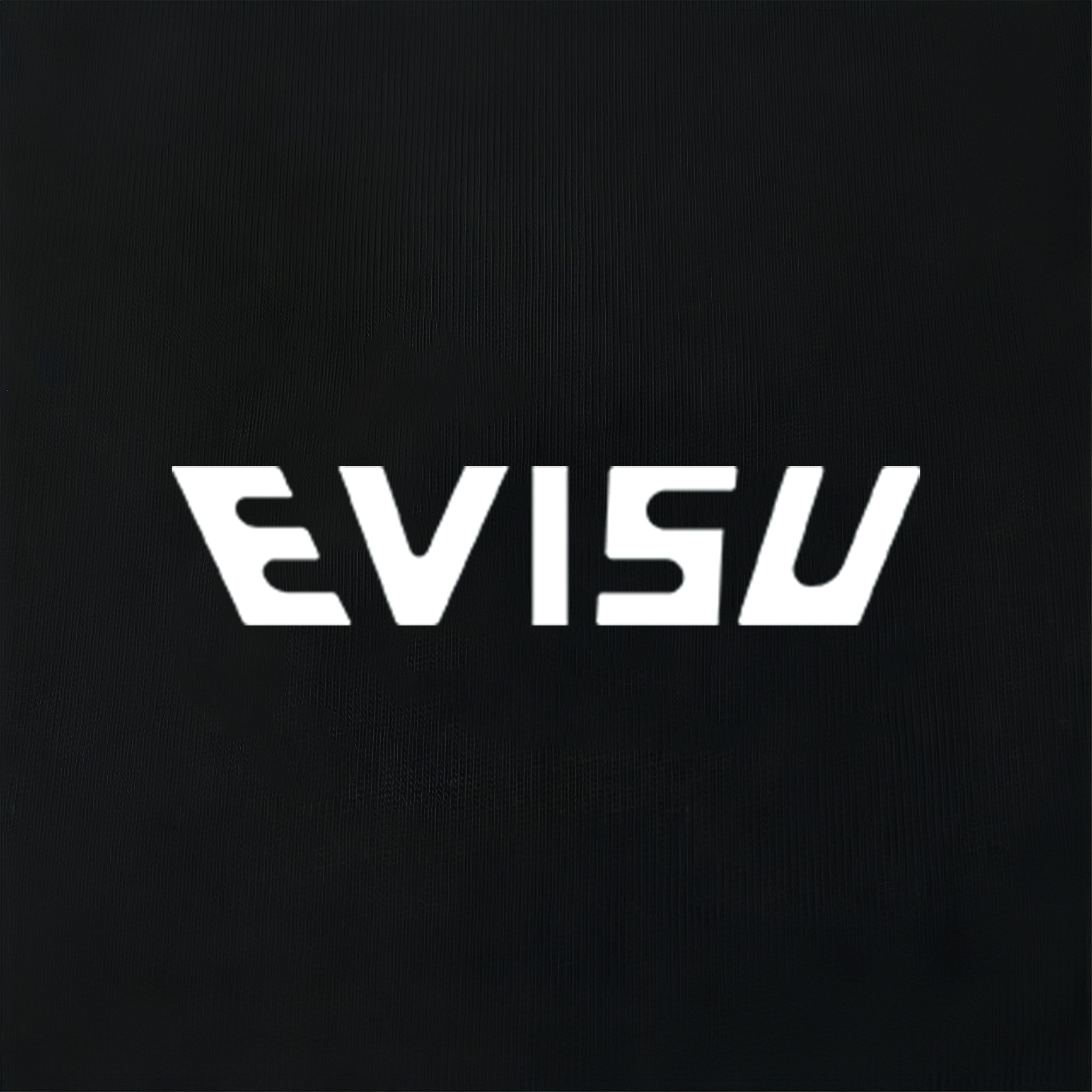 Evisu 2025 New Printed Cotton T-Shirt High Quality Unisex Loose Fit 5 a1734199301626 2058