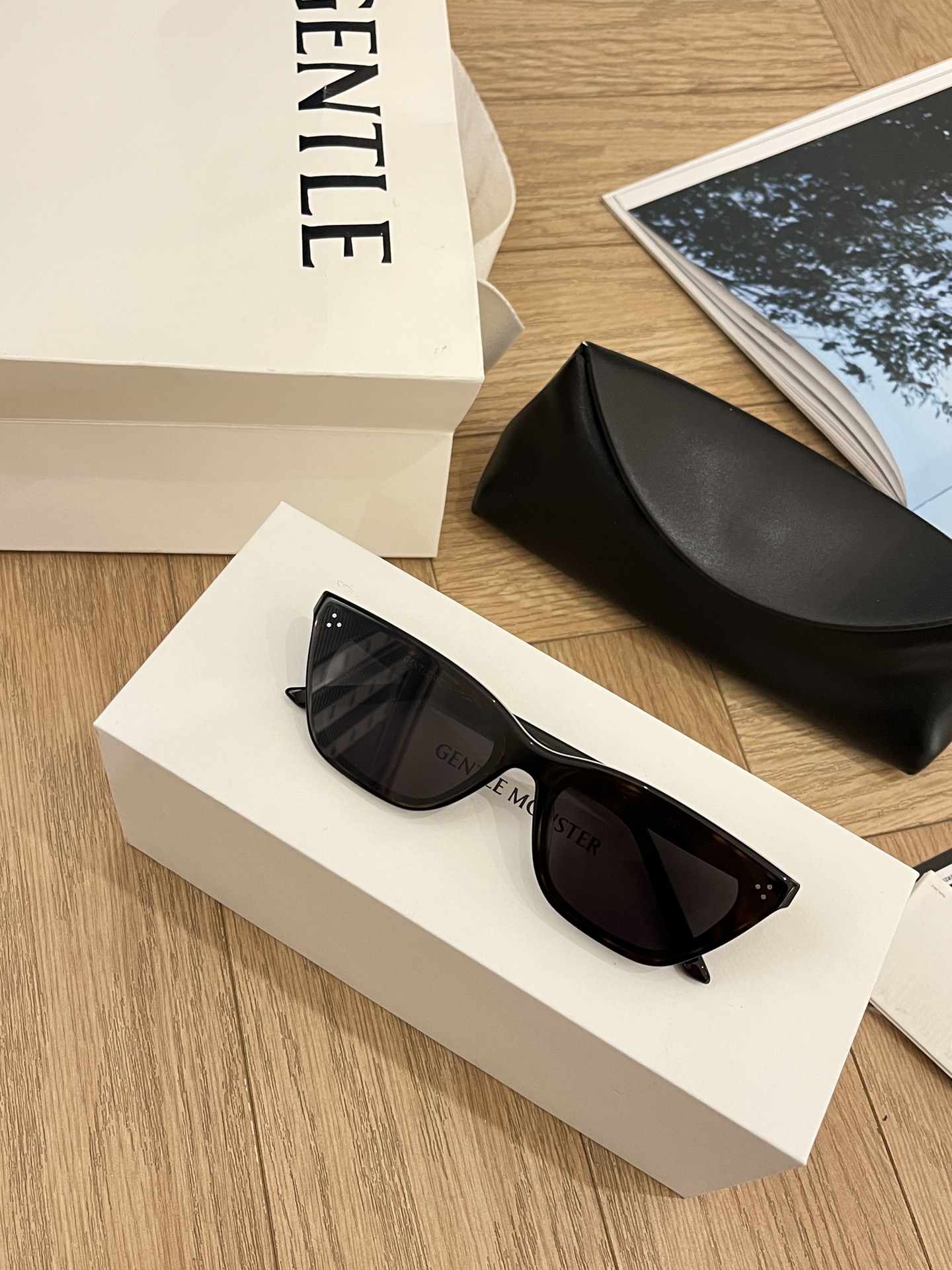 GENTLE Cat Eye Acetate Sunglasses